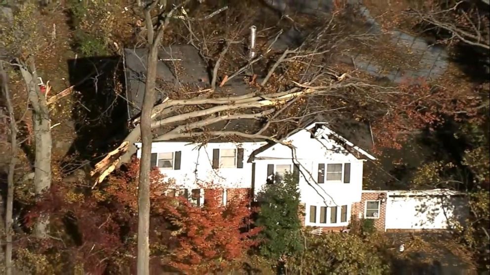 PHOTO: Severe weather brought down trees and power lines in the Northeast over the weekend.