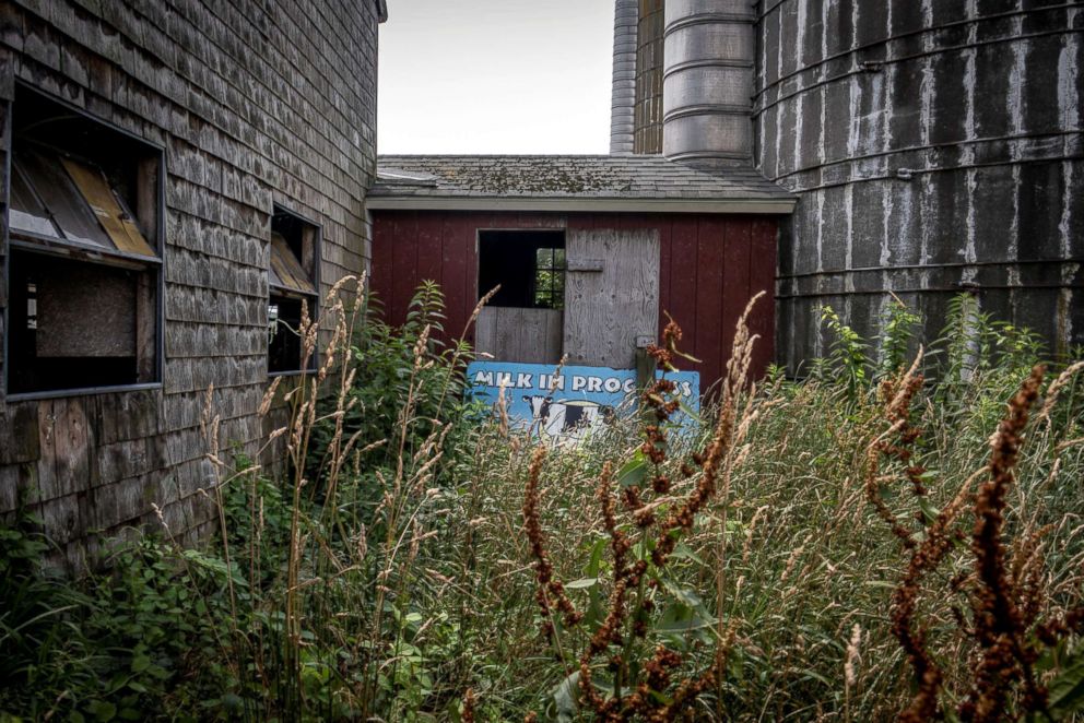 PHOTO: An old Rhody Fresh sign sits in the overgrowth behind the recently closed Cottrell Homestead dairy farm in West Kingston, Rhode Island, July 15, 2018.