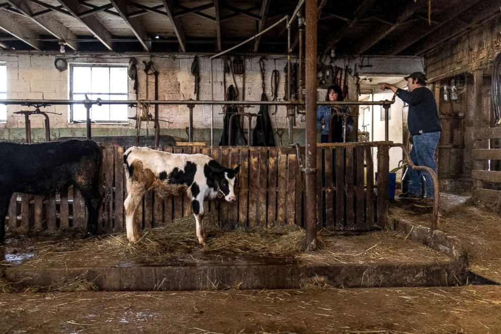 PHOTO: Cynthia LaPrise, 52, the co-owner of EMMA Acres dairy farm, discusses the state of dairy farms with her brother Paul Bailey in East Greenwich, Rhode Island, April 12, 2018.