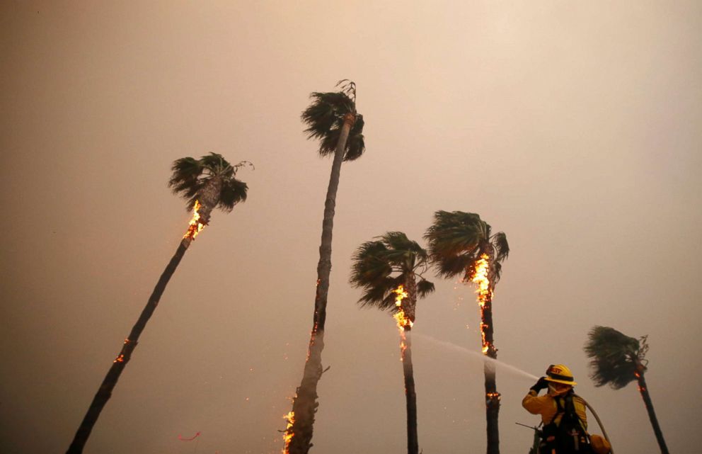 PHOTO: A firefighter sprays down palm trees as the Woolsey Fire burns in Malibu, Calif., Nov. 9, 2018. 