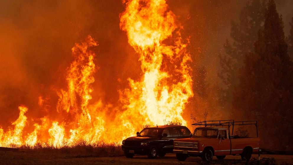 Seeds, sawmills at center of effort to save California forests and restore burned communities