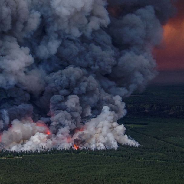 Record-breaking wildfires have occurred all over the Northern Hemisphere  during 2023, new report finds - ABC News