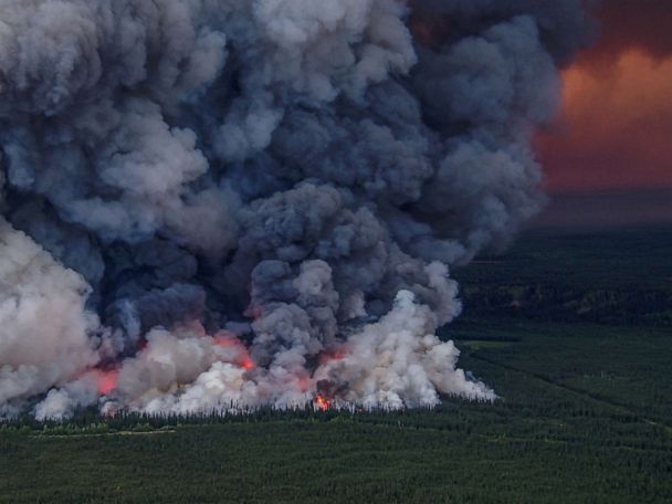 Record-breaking wildfires have occurred all over the Northern Hemisphere  during 2023, new report finds - ABC News