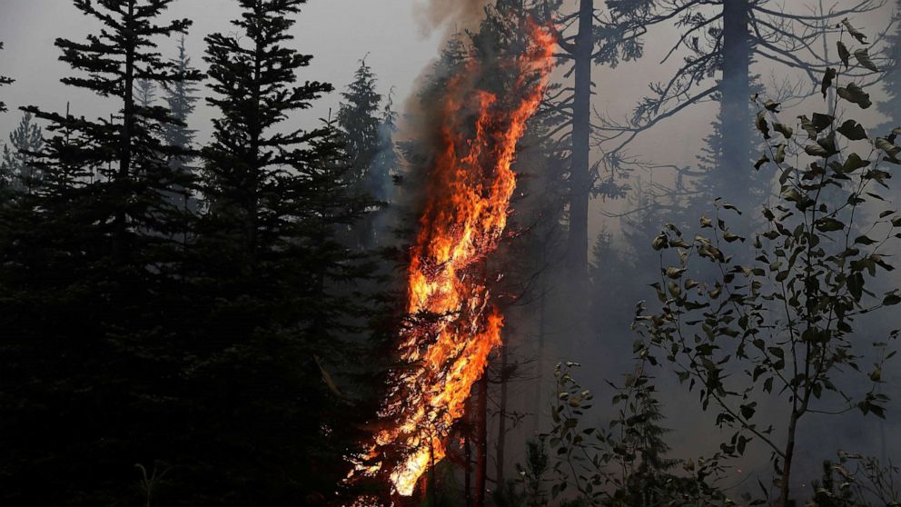 PHOTO: Fire burns on the remains of fire damaged trees as smoke billows in the aftermath of the Beachie Creek fire near Detroit, Ore., Sept. 14, 2020. 