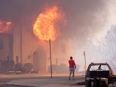 From palm trees and mansions to beach lifeguard stations: 'Everything was on fire'