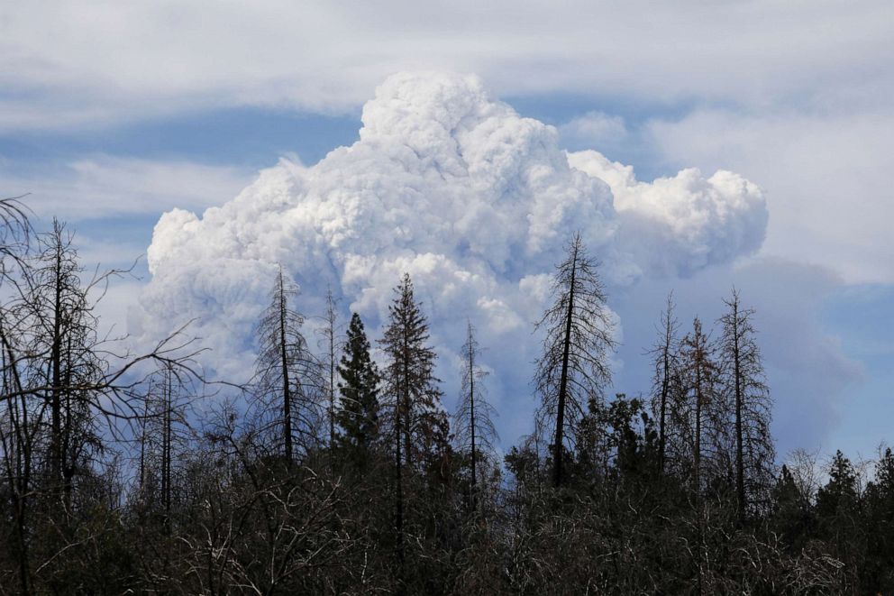 PHOTO: Smoke clouds rise as the Dixie Fire grows to over 18,000 acres in Plumas National Forest, Calif., July 18, 2021.