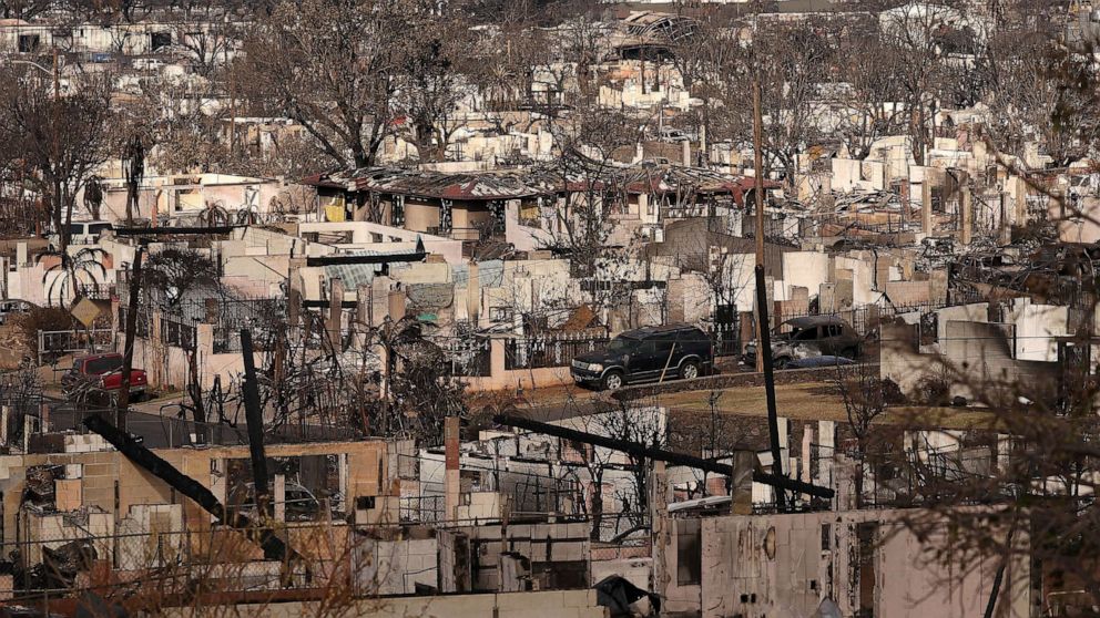 PHOTO: A view of a neighborhood that was destroyed by a wildfire, Aug. 16, 2023 in Lahaina, Hawaii.