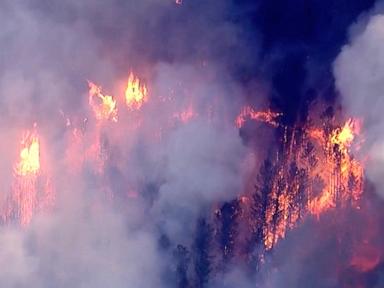 Wildfire warnings impact Texas, Arkansas, Florida as strong winds persist