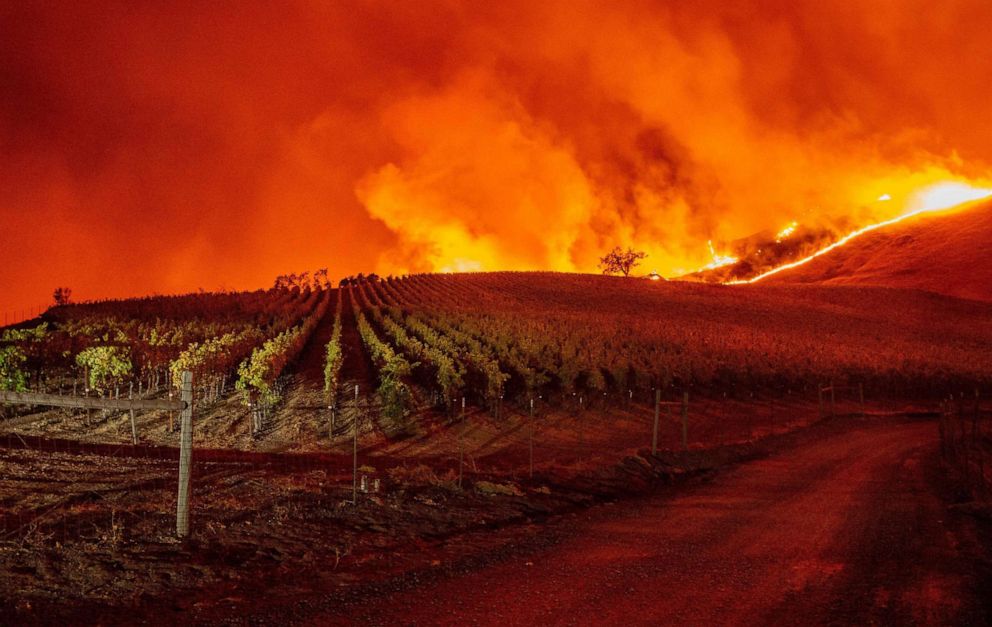 PHOTO: Flames approach rolling hills of grape vines during the Kincade fire near Geyserville, Calif., Oct. 24, 2019.