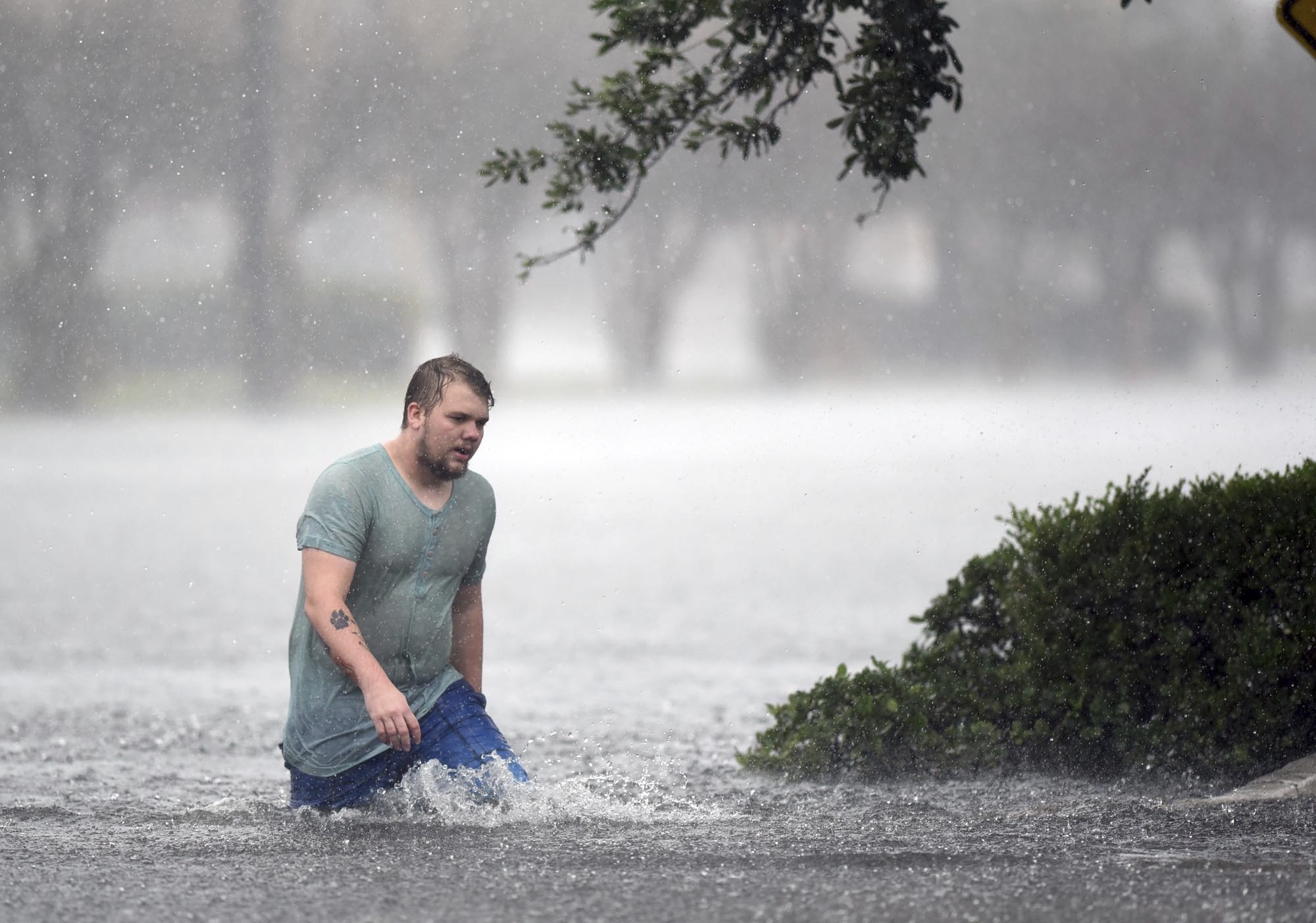 PHOTO: Jake Head walks through heavy rain from tropical storm Florence in Wilmington, N.C., Saturday, Sept. 15, 2018.