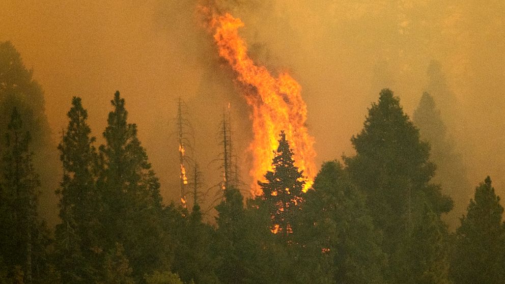 More evacuations ordered in California as wildfires threaten giant sequoia trees