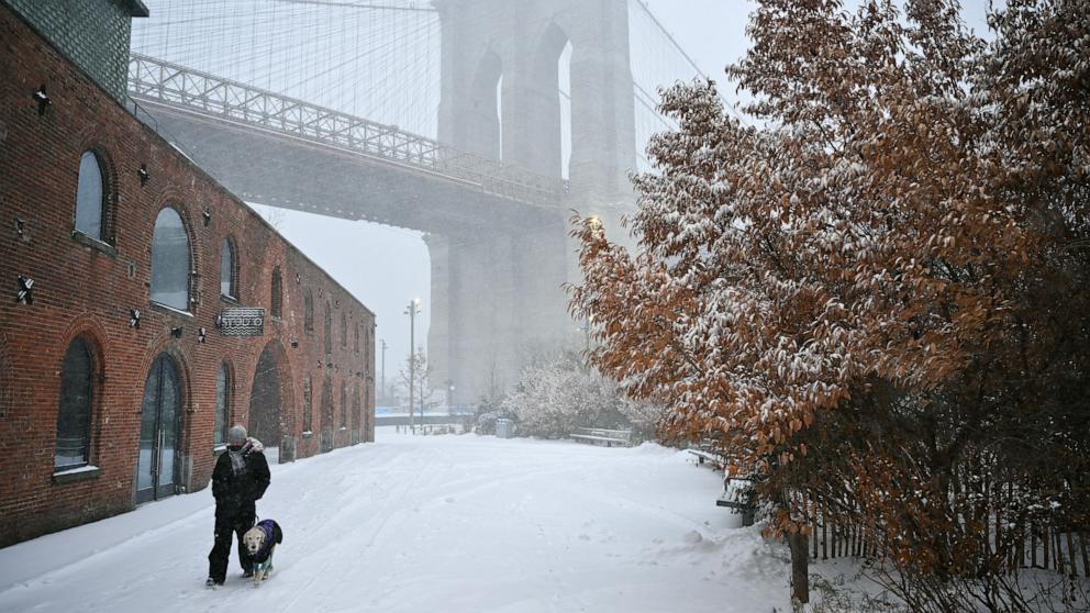 PHOTO: A person and their dog walk near the Brooklyn Bridge as snow falls in New York City, January 25, 2026.