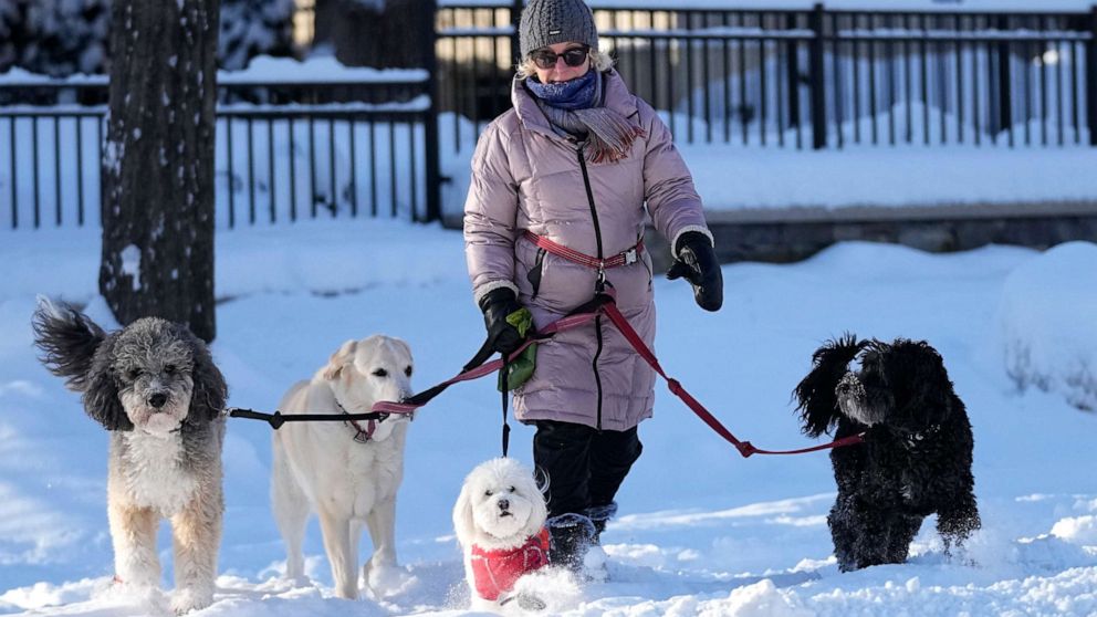 PHOTO: A dog walker named Courtney walks with her dogs near Lake of the Isles, Dec. 22, 2022, in Minneapolis.