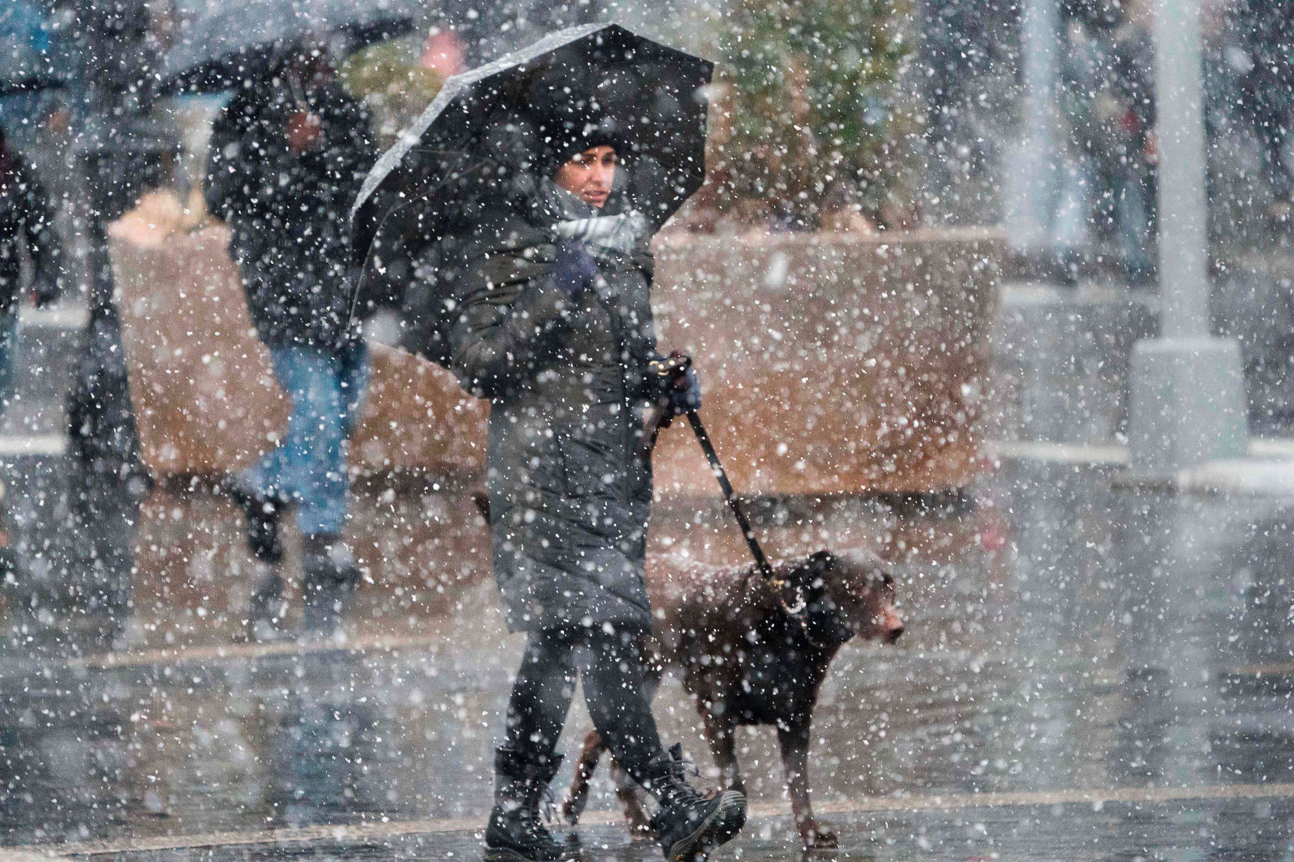 PHOTO: A woman walks her dog down 14th Street as heavy snow falls March 7, 2018 at Union Square in New York.