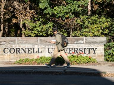 Cornell faculty to begin voting on no-confidence resolution over handling of rape