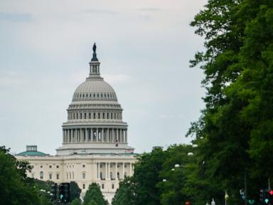 The Mechanics of Intelligence Lapses: A Tactical Analysis of the Section 702 Sunset