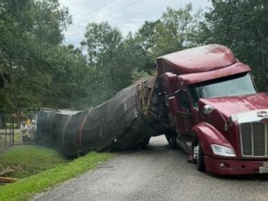 Millions of honeybees escape into a Texas neighborhood after a semitrailer crash