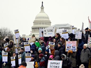 Jobs lost and lifesaving cures not discovered: Possible impacts of research cuts