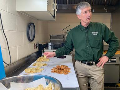 Araştırmacılar, cips için daha iyi patatesler yetiştirmek üzere on yıllardır çalışıyor ve işlerinin henüz bitmediği anlaşılıyor.