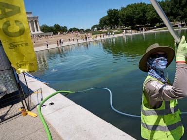 Trump administration uses hydrogen peroxide against algae in Reflecting Pool