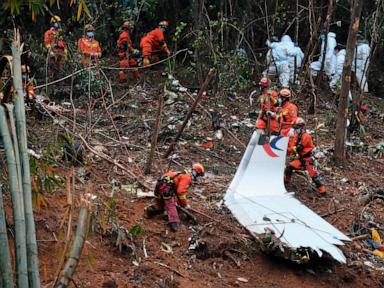 New data on 2022 China plane crash suggests cockpit struggle and fuel cut