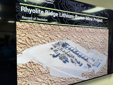 Nevada lithium mine will crush rare plant habitat US said is critical to its survival, lawsuit says