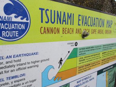 Quake prompts brief tsunami warning on the West Coast. Here's what to know about tsunamis