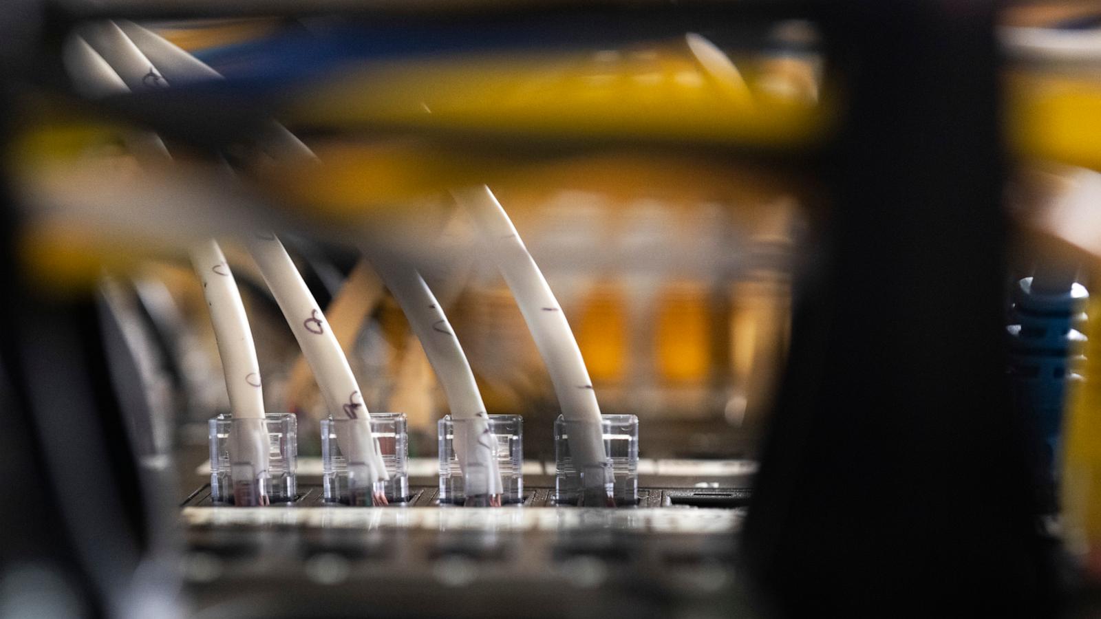 What to know about the AI-detected security bug impacting wide swaths of the internet