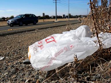 California governor signs law banning all plastic shopping bags at grocery stores