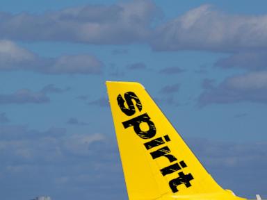 Spirit Airlines, ABD hükümetinden alacağı mali yardımın uçuşlarına devam etmesine yardımcı olacağını söylüyor.