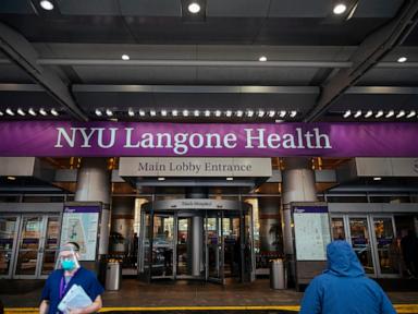 Institutional Compliance and the Jurisdictional Intersection of Transgender Healthcare Data