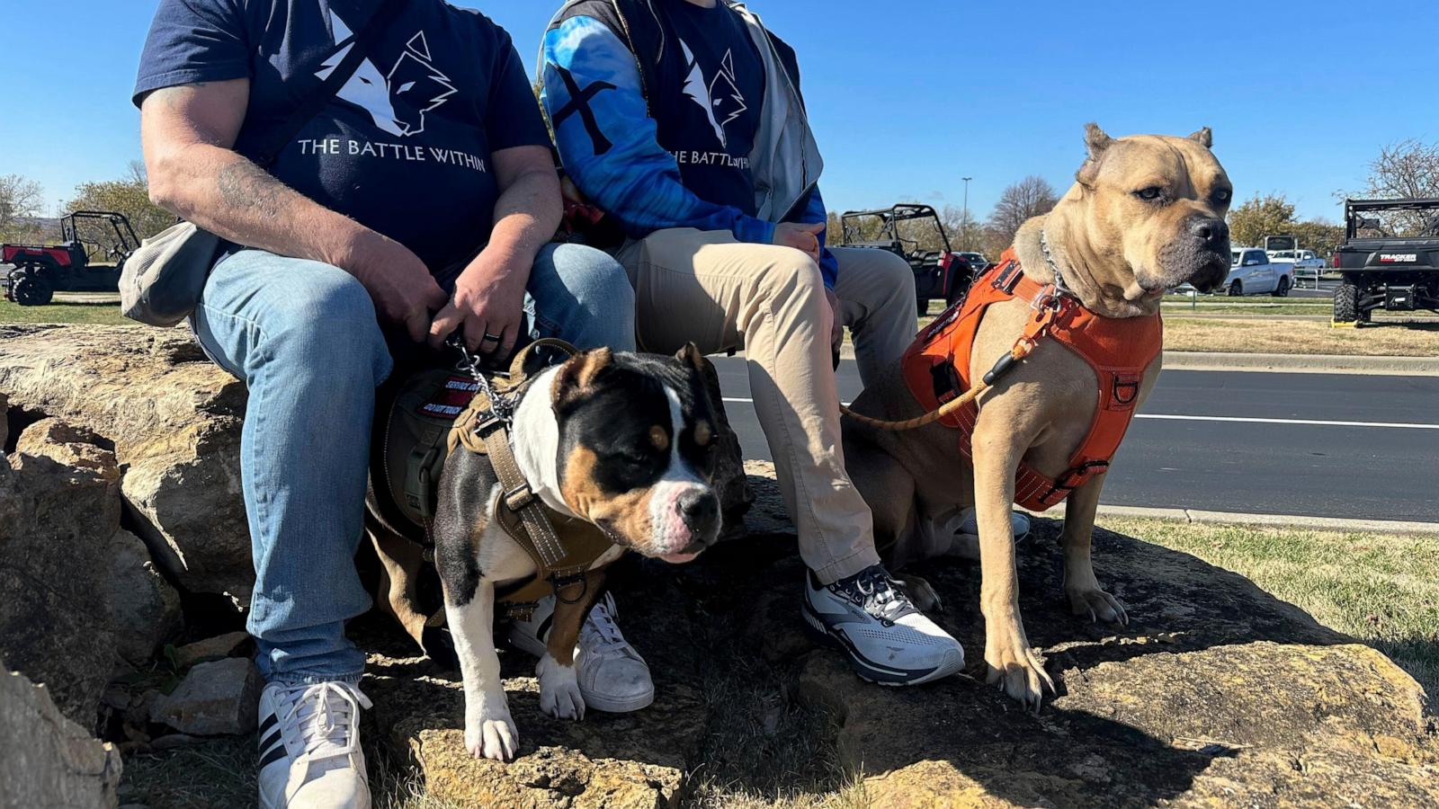 ‘I got my life back.’ Veterans with PTSD making progress thanks to service dog program