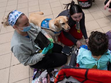 The Medicine That Barks