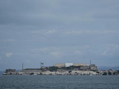 Male coyote swam 2 miles to Alcatraz Island, twice as far as biologists had expected