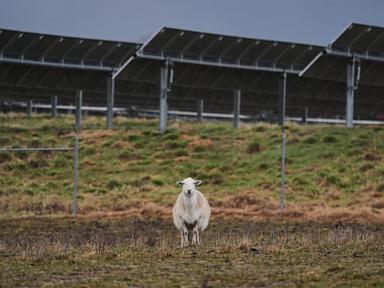 The Great Rural Power Play and the Betrayal of the American Farm