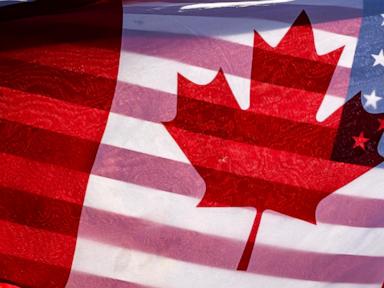 Canada's tariffs to remain despite Trump postponing tariffs on many imports