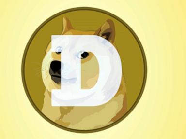 Bull doge! Dogecoin soars as Trump announces a government efficiency group nicknamed DOGE