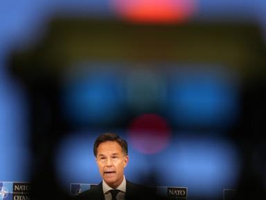 NATO's Trump whisperer heads to the White House to soothe the president