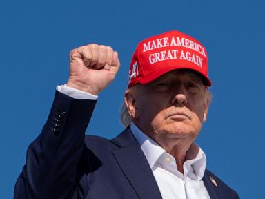Why Everything You Think About Trump AI Memes is Completely Backwards