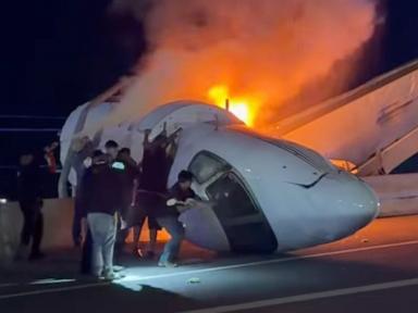 The Highway Rescue and the Fatal Myth of Shattering Aviation Glass