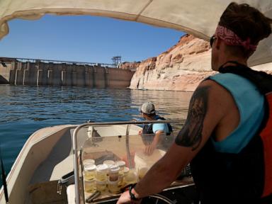 Releasing cool water protects fish in the Grand Canyon. That comes at cost to hydropower
