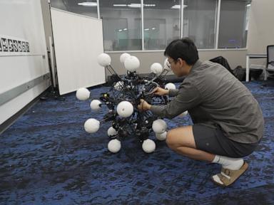Meet Argus, a robot with 20 legs and eyes built to move and see in any direction
