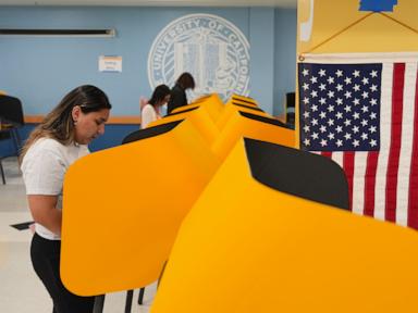 Immigrant rights group seeks to block use of federal databases it says could purge legal voters