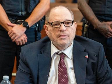 The Man in the Glass Cage and the Body that Broke