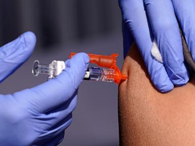 The US will pay Moderna $176 million to develop an mRNA pandemic flu vaccine