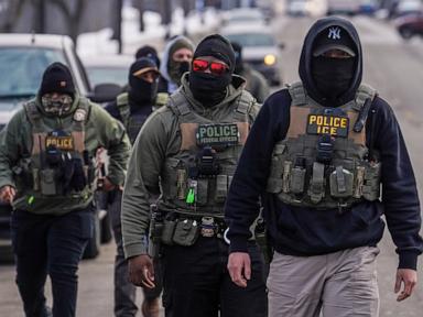 Why Ice Wants To Put Electric Shock Gloves On Its Officers