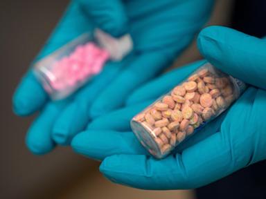 Overdose Deaths PLUNGE! Is the Crisis FINALLY Over?!