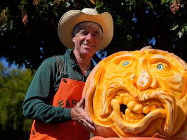 'Picasso of Pumpkin Carvers' brings artistry to a Halloween tradition