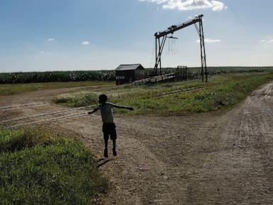 The Bitter Reality Of Dominican Sugar You Probably Do Not Know