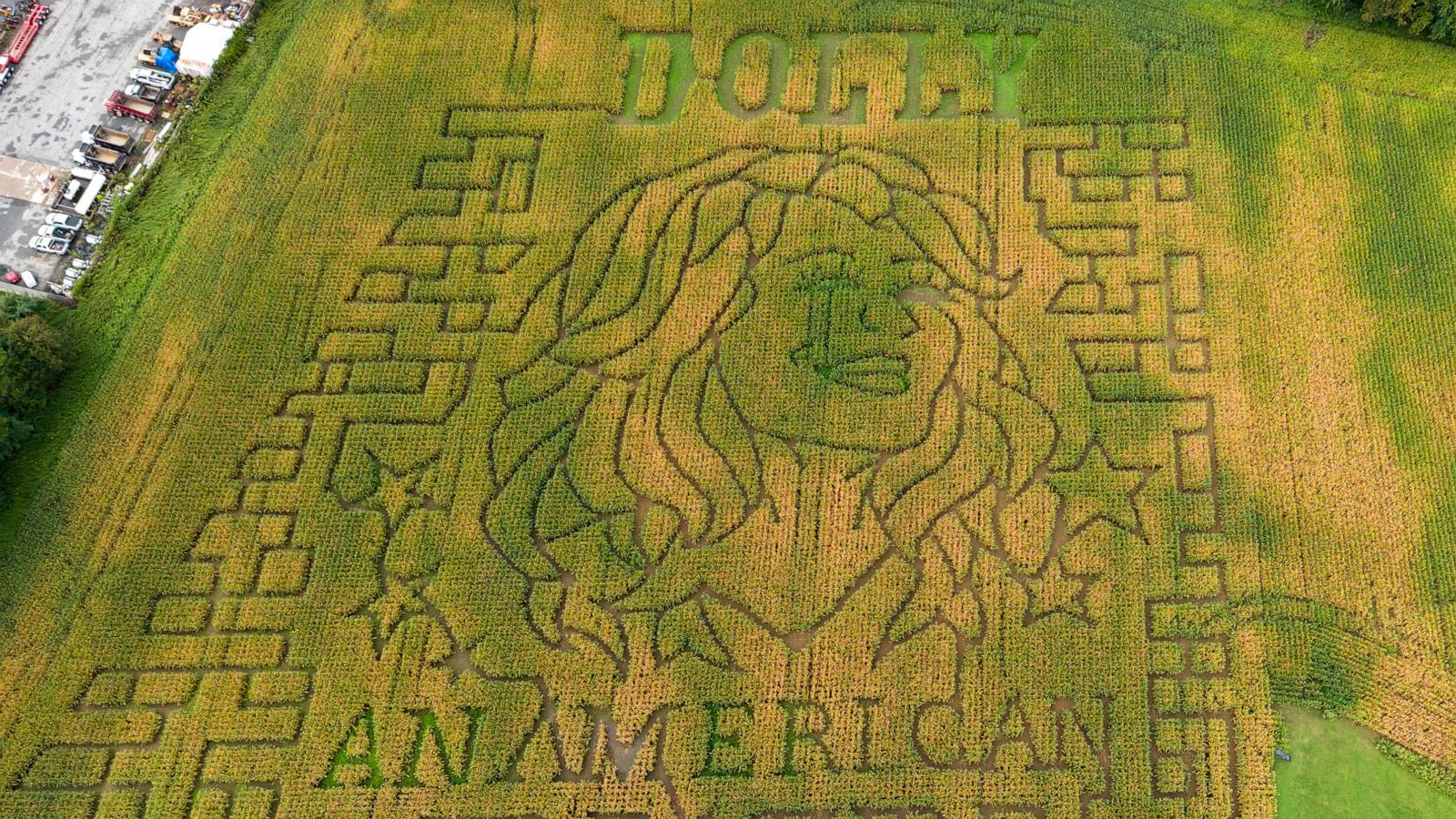 Dolly Parton corn mazes crop up in fields nationwide